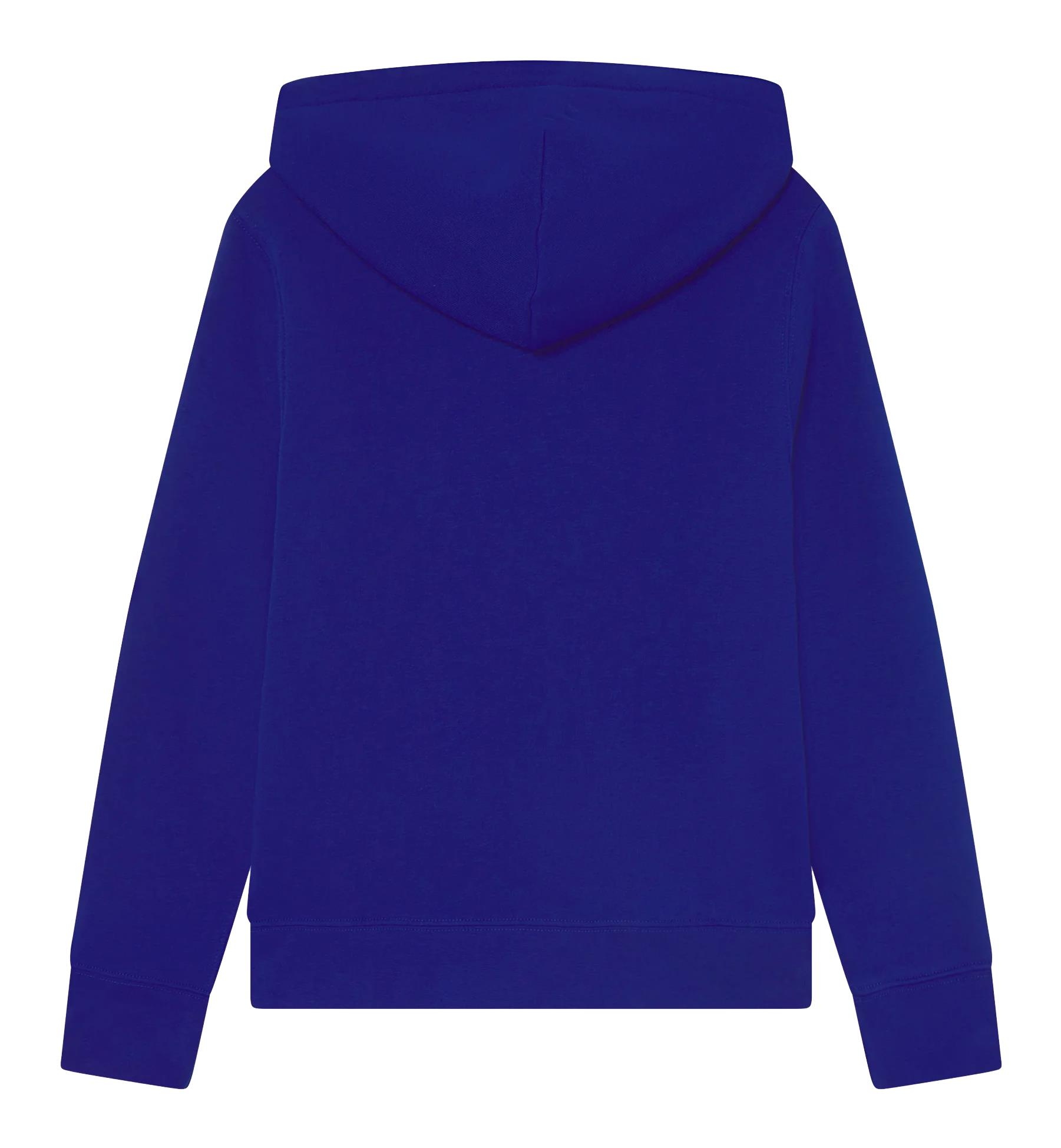 Shop Ralph Lauren Sweatshirt With Hood And Logo In Blu